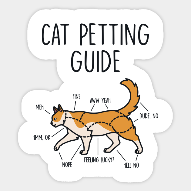 cat petting guide t shirt